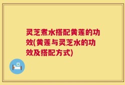 灵芝煮水搭配黄莲的功效(黄莲与灵芝水的功效及搭配方式)