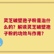 灵芝破壁孢子粉是治什么的？解读灵芝破壁孢子粉的功效与作用？