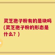 灵芝孢子粉有的是块吗(灵芝孢子粉的形态是什么？)