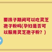 要孩子期间可以吃灵芝孢子粉吗(孕妇是否可以服用灵芝孢子粉？)