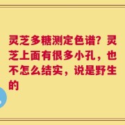 灵芝多糖测定色谱？灵芝上面有很多小孔，也不怎么结实，说是野生的