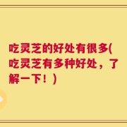 吃灵芝的好处有很多(吃灵芝有多种好处，了解一下！)