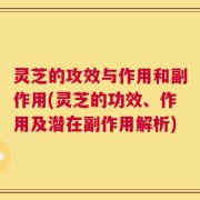灵芝的攻效与作用和副作用(灵芝的功效、作用及潜在副作用解析)