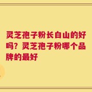 灵芝孢子粉长白山的好吗？灵芝孢子粉哪个品牌的最好