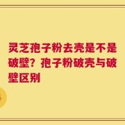 灵芝孢子粉去壳是不是破壁？孢子粉破壳与破壁区别