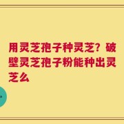 用灵芝孢子种灵芝？破壁灵芝孢子粉能种出灵芝么