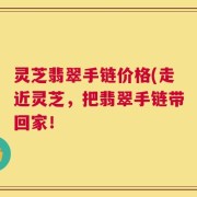 灵芝翡翠手链价格(走近灵芝，把翡翠手链带回家！