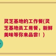 灵芝基地的工作餐(灵芝基地员工用餐，新鲜美味等你来品尝！)