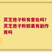灵芝孢子粉有害处吗？灵芝孢子粉胶囊有副作用吗