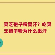 灵芝孢子粉冒汗？吃灵芝孢子粉为什么出汗