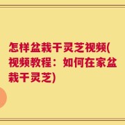 怎样盆栽干灵芝视频(视频教程：如何在家盆栽干灵芝)