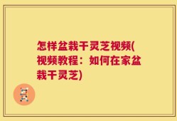 怎样盆栽干灵芝视频(视频教程：如何在家盆栽干灵芝)
