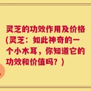 灵芝的功效作用及价格(灵芝：如此神奇的一个小木耳，你知道它的功效和价值吗？)