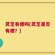 灵芝有穗吗(灵芝是否有穗？)