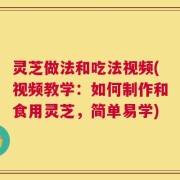 灵芝做法和吃法视频(视频教学：如何制作和食用灵芝，简单易学)