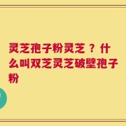 灵芝孢子粉灵芝 ？什么叫双芝灵芝破壁孢子粉