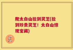 爬太白山捡到灵芝(捡到珍贵灵芝！太白山惊现宝藏)