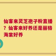 仙客来灵芝孢子粉直播？仙客来好养还是丽格海棠好养