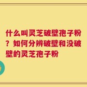 什么叫灵芝破壁孢子粉？如何分辨破壁和没破壁的灵芝孢子粉