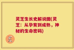 灵芝生长史解说图(灵芝：从孕育到成熟，神秘的生命密码)