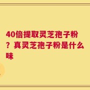 40倍提取灵芝孢子粉？真灵芝孢子粉是什么味
