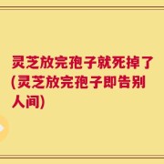灵芝放完孢子就死掉了(灵芝放完孢子即告别人间)