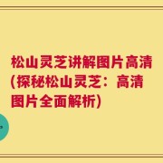 松山灵芝讲解图片高清(探秘松山灵芝：高清图片全面解析)