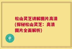 松山灵芝讲解图片高清(探秘松山灵芝：高清图片全面解析)