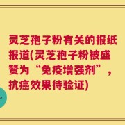 灵芝孢子粉有关的报纸报道(灵芝孢子粉被盛赞为“免疫增强剂”，抗癌效果待验证)