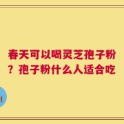 春天可以喝灵芝孢子粉？孢子粉什么人适合吃