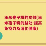玉米孢子粉的功效(玉米孢子粉的益处-提高免疫力及消化健康)