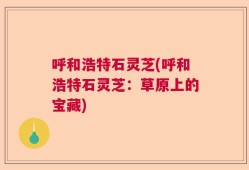呼和浩特石灵芝(呼和浩特石灵芝：草原上的宝藏)
