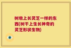 树墩上长灵芝一样的东西(树干上生长神奇的灵芝形状生物)