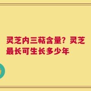 灵芝内三萜含量？灵芝最长可生长多少年