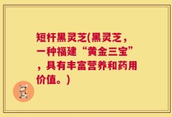 短杆黑灵芝(黑灵芝，一种福建“黄金三宝”，具有丰富营养和药用价值。)
