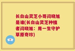 长白山灵芝小哥闫晓旭是谁(长白山灵芝种植者闫晓旭：用一生守护草原奇珍)