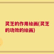 灵芝的作用绘画(灵芝的功效的绘画)