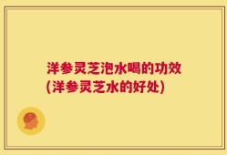 洋参灵芝泡水喝的功效(洋参灵芝水的好处)