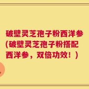 破壁灵芝孢子粉西洋参(破壁灵芝孢子粉搭配西洋参，双倍功效！)