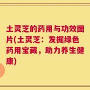 土灵芝的药用与功效图片(土灵芝：发掘绿色药用宝藏，助力养生健康)