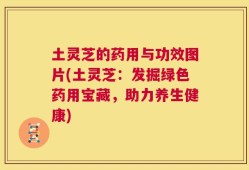 土灵芝的药用与功效图片(土灵芝：发掘绿色药用宝藏，助力养生健康)