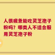 人很疲惫能吃灵芝孢子粉吗？哪类人不适合服用灵芝孢子粉