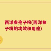西洋参孢子粉(西洋参子粉的功效和用途)
