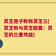 灵芝孢子粉和灵芝三(灵芝粉与灵芝胶囊：灵芝的三重效益)