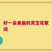 好一朵美丽的灵芝花歌词