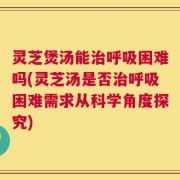 灵芝煲汤能治呼吸困难吗(灵芝汤是否治呼吸困难需求从科学角度探究)