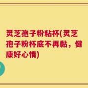 灵芝孢子粉粘杯(灵芝孢子粉杯底不再黏，健康好心情)