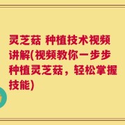 灵芝菇 种植技术视频讲解(视频教你一步步种植灵芝菇，轻松掌握技能)