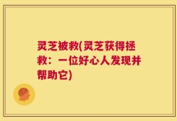 灵芝被救(灵芝获得拯救：一位好心人发现并帮助它)