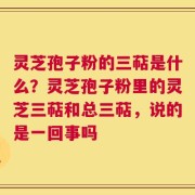 灵芝孢子粉的三萜是什么？灵芝孢子粉里的灵芝三萜和总三萜，说的是一回事吗